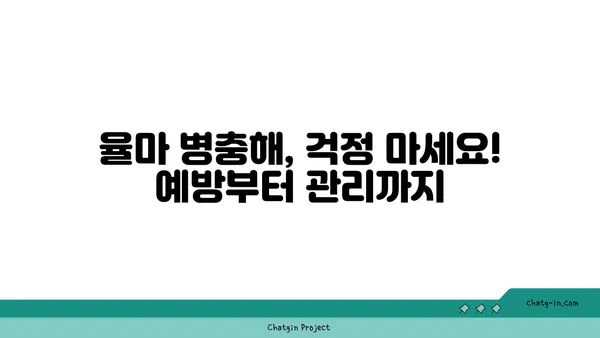 율마 키우기 완벽 가이드| 햇빛, 물주기, 분갈이, 병충해 관리까지 | 율마, 허브, 식물 키우기, 실내 정원