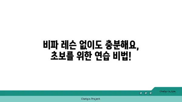 비파 연주 배우기| 초보를 위한 기초 연습법과 곡 추천 | 비파, 악기, 연주, 레슨, 초보