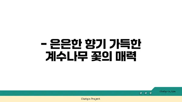 계수나무의 매력|  꽃, 열매, 그리고 전설 | 계수나무, 나무 정보, 전설, 민속