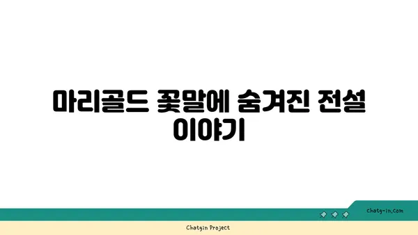 마리골드 꽃말과 전설| 행복을 부르는 꽃의 의미 | 마리골드, 꽃말, 전설, 행복, 의미, 기원