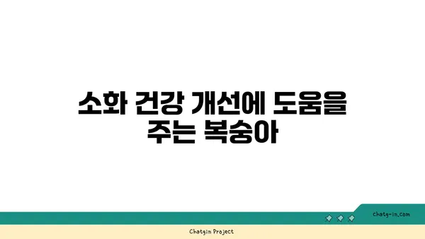 복숭아의 영양학적 힘| 비타민 C와 칼륨의 풍부한 공급원 | 건강, 과일, 영양, 효능