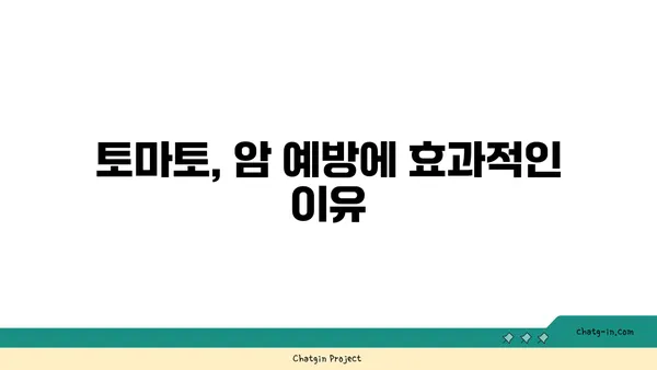 토마토의 놀라운 암 예방 효과| 연구 결과 & 섭취 방법 | 항암 식단, 건강 식품, 토마토 효능