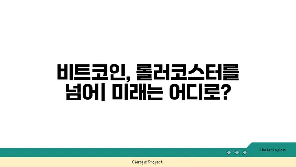 비트코인, 롤러코스터를 타다| 흥망성쇠의 역사적 기록 | 암호화폐, 투자, 거품, 붕괴