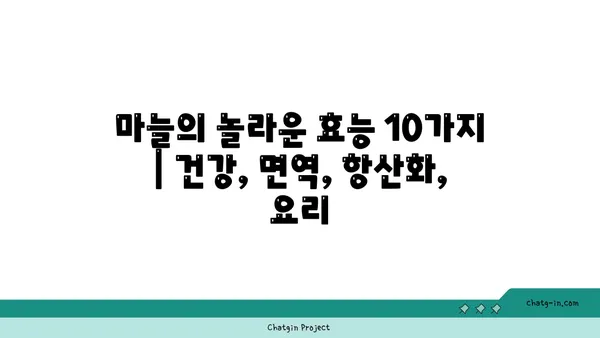 마늘의 놀라운 효능 10가지 | 건강, 면역, 항산화, 요리