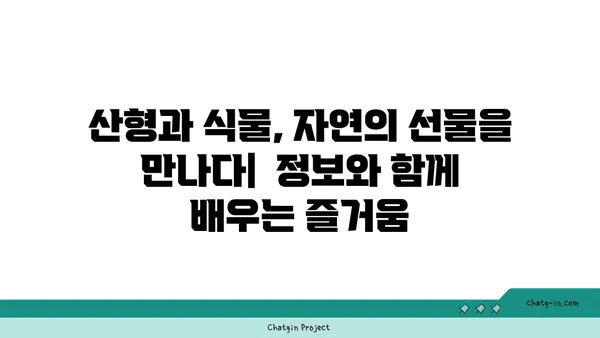 산형과 식물의 매력| 종류별 특징과 재배 가이드 | 산형과, 약용식물, 허브, 꽃, 식물 정보