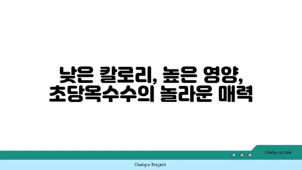 초당옥수수| 에너지 충전의 비밀 | 달콤한 맛, 건강한 에너지