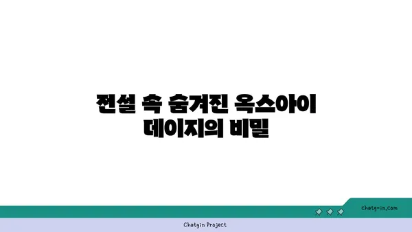 옥스아이 데이지| 초원의 작은 태양 | 야생화, 꽃말, 전설, 재배 정보