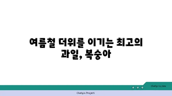 복숭아의 비타민 채식지| 건강한 면역력 강화를 위한 맛있는 선택 | 면역력 강화, 비타민, 과일, 건강 식단