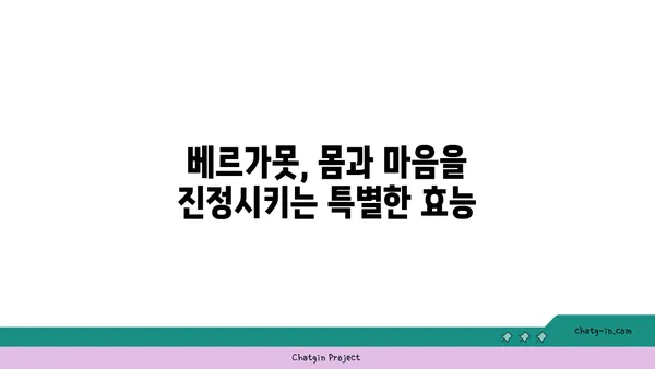 베르가못 향기, 당신의 감각을 깨우다 | 향수, 차, 음식, 효능, 활용법