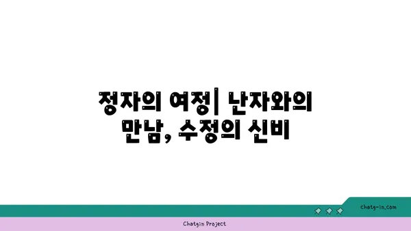 정자의 역할과 기능| 생명 탄생의 비밀  | 생식, 수정, 남성 생식기, 정자 생성