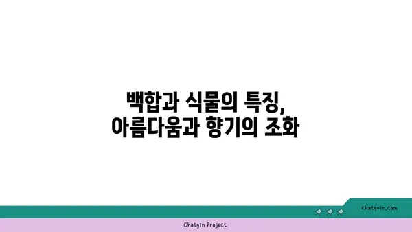 백합과 식물의 매력| 아름다움과 다양성을 만나보세요 | 백합, 릴리, 꽃, 식물, 원예, 종류, 특징