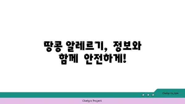 땅콩 알레르기, 안전하게 즐기는 꿀팁 | 땅콩 알레르기, 땅콩 없는 식단, 땅콩 대체 식품, 알레르기 관리