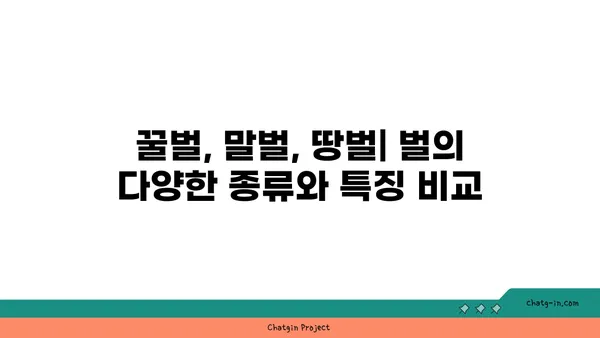 벌의 신비로운 세계| 꿀벌, 말벌, 땅벌 등 다양한 벌의 종류와 특징 알아보기 | 벌 종류, 벌 생태, 벌의 역할