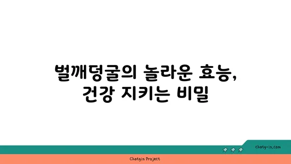 벌깨덩굴, 약초로 알아보는 효능과 부작용 | 벌깨덩굴 효능, 벌깨덩굴 부작용, 벌깨덩굴 차, 벌깨덩굴 식용