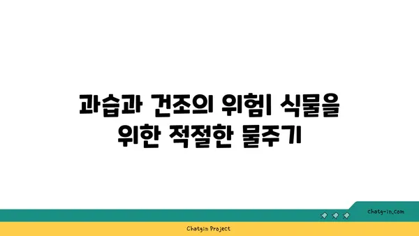 식물을 위한 완벽한 물주기 가이드 | 식물 관리, 물주기 팁, 건강한 식물 키우기