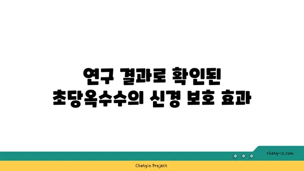 초당옥수수의 신경 보호 효능| 과학적 근거와 잠재적 이점 | 뇌 건강, 항산화, 신경세포 보호, 연구 결과