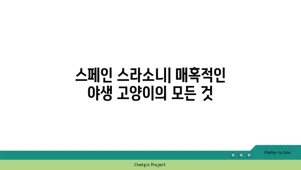 스페인 스라소니| 매혹적인 야생 고양이의 모든 것 | 스라소니, 스페인 야생 동물, 야생 고양이, 서식지, 생태