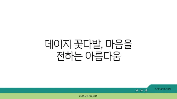 데이지 꽃말과 의미| 사랑스러운 당신에게 전하는 꽃말 | 데이지, 꽃말, 의미, 선물, 꽃다발