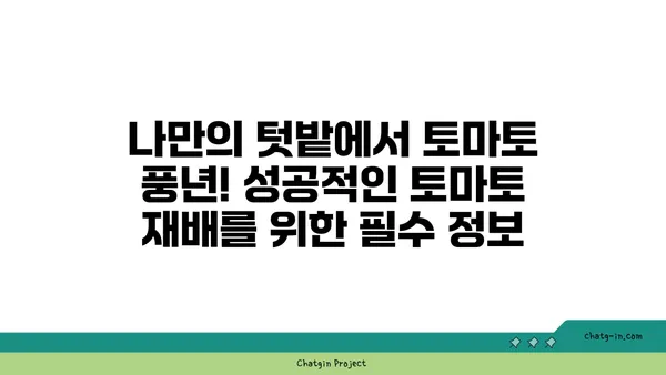 토마토 맛있게 키우는 꿀팁| 집에서 쉽게 성공하는 재배 가이드 | 토마토, 재배, 텃밭, 꿀팁, 가이드