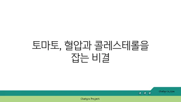 심장 건강 지키는 붉은 보석, 토마토의 놀라운 효능 | 심장 건강, 토마토, 건강 식단, 혈압, 콜레스테롤