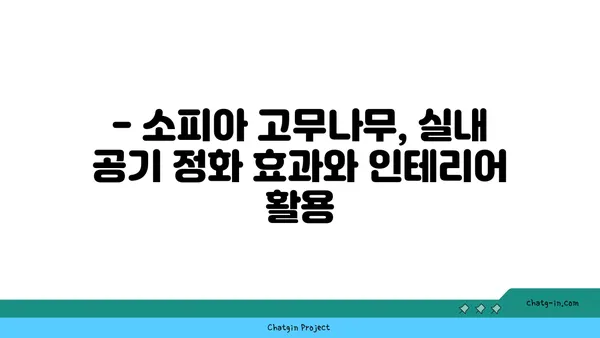 소피아 고무나무 키우기 완벽 가이드 | 실내 식물, 관리법, 번식, 병해충