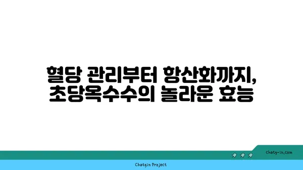 초당옥수수| 건강 식습관의 필수 요소 | 영양, 효능, 레시피, 섭취 방법