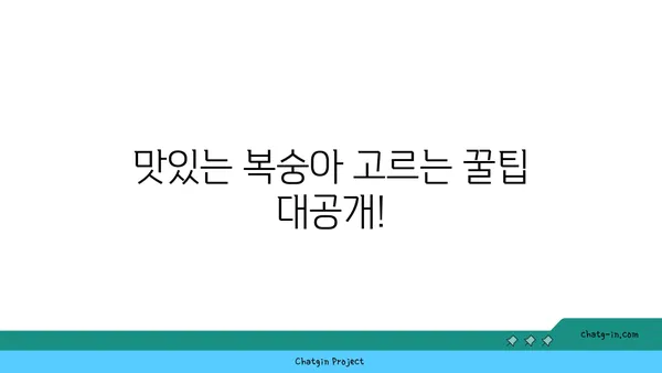 복숭아의 영양학적 강국| 건강과 맛의 완벽한 조화 | 복숭아 효능, 영양 정보, 맛있는 복숭아 고르는 팁