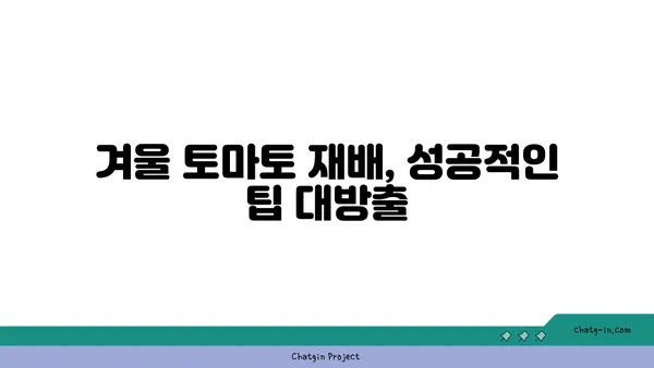 겨울철에도 싱싱한 토마토를? 꿀팁 가득한 재배 가이드 | 토마토, 겨울 재배, 온실 재배, 베란다 재배