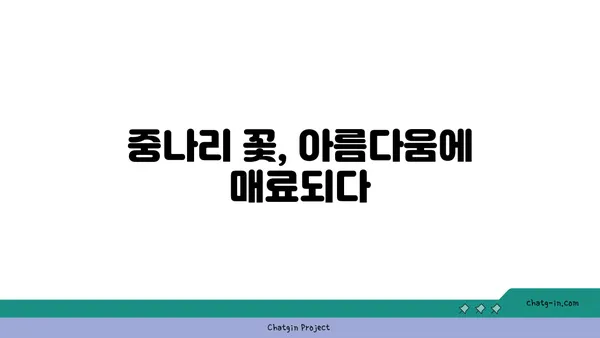 중나리 꽃의 매력, 만나보세요! | 야생화, 백합과, 꽃말, 재배