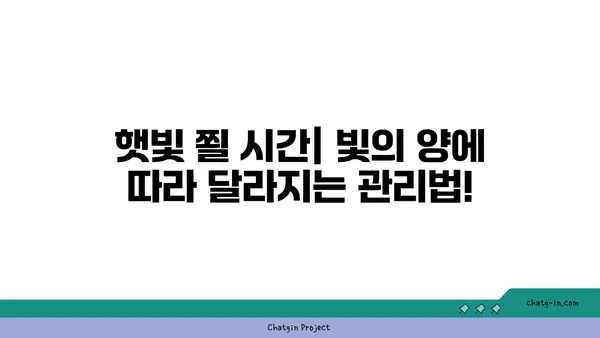 산세비에리아 키우기 완벽 가이드 | 종류, 물주기, 빛, 번식, 병충해, 인테리어 효과