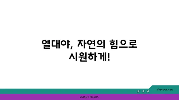 열대야, 시원하게 이겨내는 8가지 자연 친화적인 방법 | 열대야, 밤잠, 수면, 건강, 쿨팁