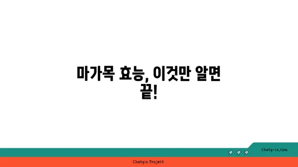 마가목 효능과 부작용 완벽 정리 | 마가목차, 효능, 복용법, 주의사항