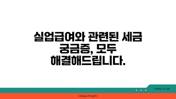 실업급여 받는 동안 세금 책임 완벽 가이드 | 실업급여, 세금, 신고, 환급