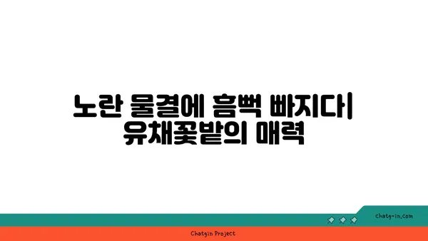 유채꽃밭의 매력에 빠지다| 봄맞이 유채꽃 축제 & 여행지 추천 | 유채꽃, 봄꽃 축제, 여행, 사진 명소