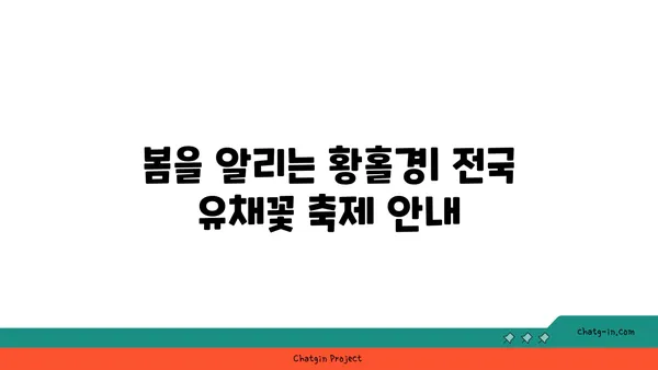 유채꽃밭의 매력에 빠지다| 봄맞이 유채꽃 축제 & 여행지 추천 | 유채꽃, 봄꽃 축제, 여행, 사진 명소