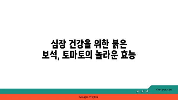 심장 건강 지키는 붉은 보석, 토마토의 놀라운 효능 | 심장 건강, 토마토, 건강 식단, 혈압, 콜레스테롤