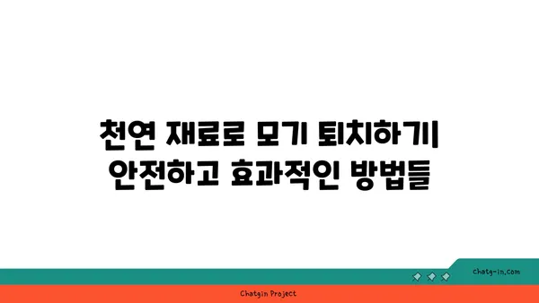 몸에 해롭지 않게 모기를 퇴치하는 7가지 안전한 방법 | 천연 모기 퇴치, 친환경 모기 퇴치, 모기 기피제