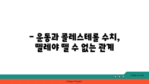 콜레스테롤 수치 낮추는 3가지 필수 방법| 건강한 식단, 운동, 생활 습관 개선 | 건강 관리, 고지혈증, 심혈관 질환 예방