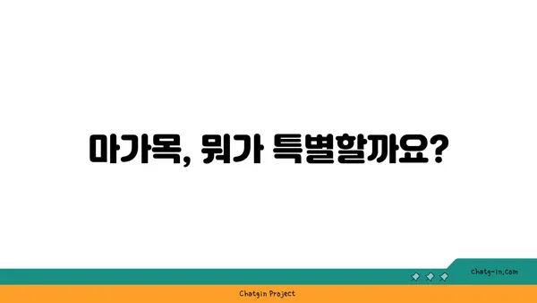 마가목 효능과 부작용 완벽 정리 | 마가목차, 효능, 복용법, 주의사항