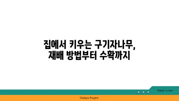 구기자나무의 효능과 재배 가이드 | 건강, 약초, 재배 정보, 구기자 효능