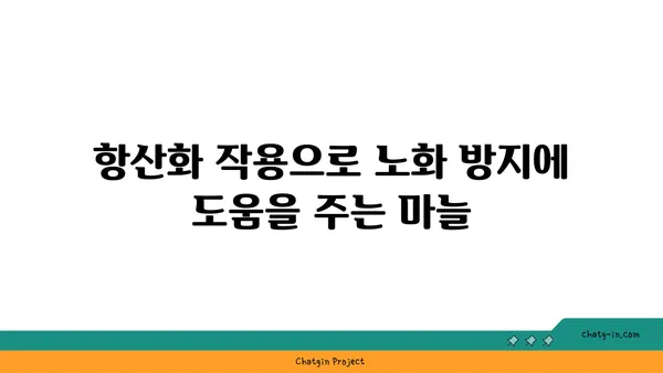 마늘의 놀라운 효능 10가지 | 건강, 면역, 항산화, 요리