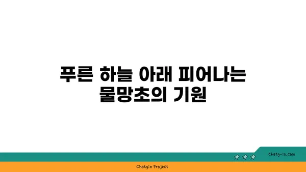 물망초 꽃말과 전설| 사랑과 기억을 담은 아름다운 꽃 이야기 | 꽃말, 전설, 의미, 기원, 종류