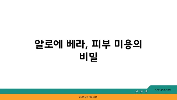 알로에의 놀라운 효능| 피부, 건강, 그리고 미용 | 알로에 베라, 천연 화장품, 건강 식품, 효능 비교