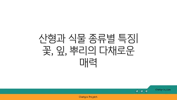 산형과 식물의 매력| 종류별 특징과 재배 가이드 | 산형과, 약용식물, 허브, 꽃, 식물 정보