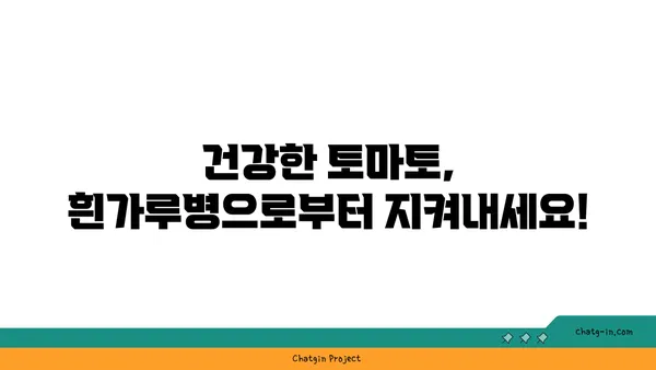 토마토 흰가루병 완벽 가이드| 예방부터 치료까지 | 토마토, 흰가루병, 농작물 관리, 병해충