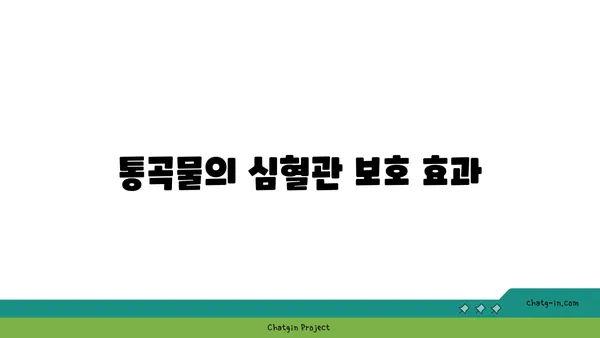 심혈관 질환과 뇌졸중 위험 감소를 위한 5가지 심뇌 보호 식품 | 건강식품, 심혈관 건강, 뇌졸중 예방"