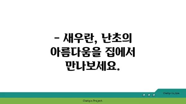 새우란의 매력에 빠지다| 종류별 특징과 키우는 방법 | 새우란, 난초, 식물 키우기, 취미