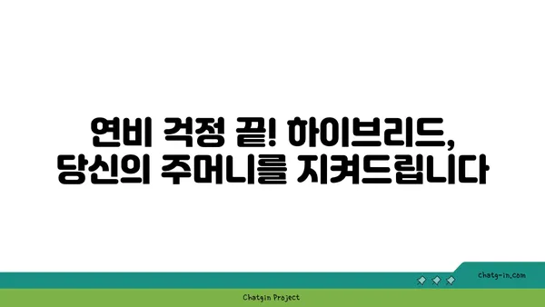 하이브리드 자동차 편견, 이제는 깨부숴! | 장점과 효율성, 실제 주행 경험 공유