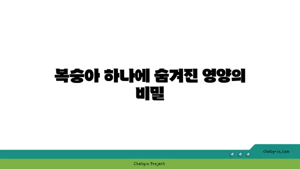 복숭아의 건강 효능| 항산화제와 영양소가 가득한 이유 | 건강, 과일, 항산화, 영양