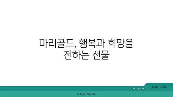 마리골드 꽃말과 전설| 행복을 부르는 꽃의 의미 | 마리골드, 꽃말, 전설, 행복, 의미, 기원